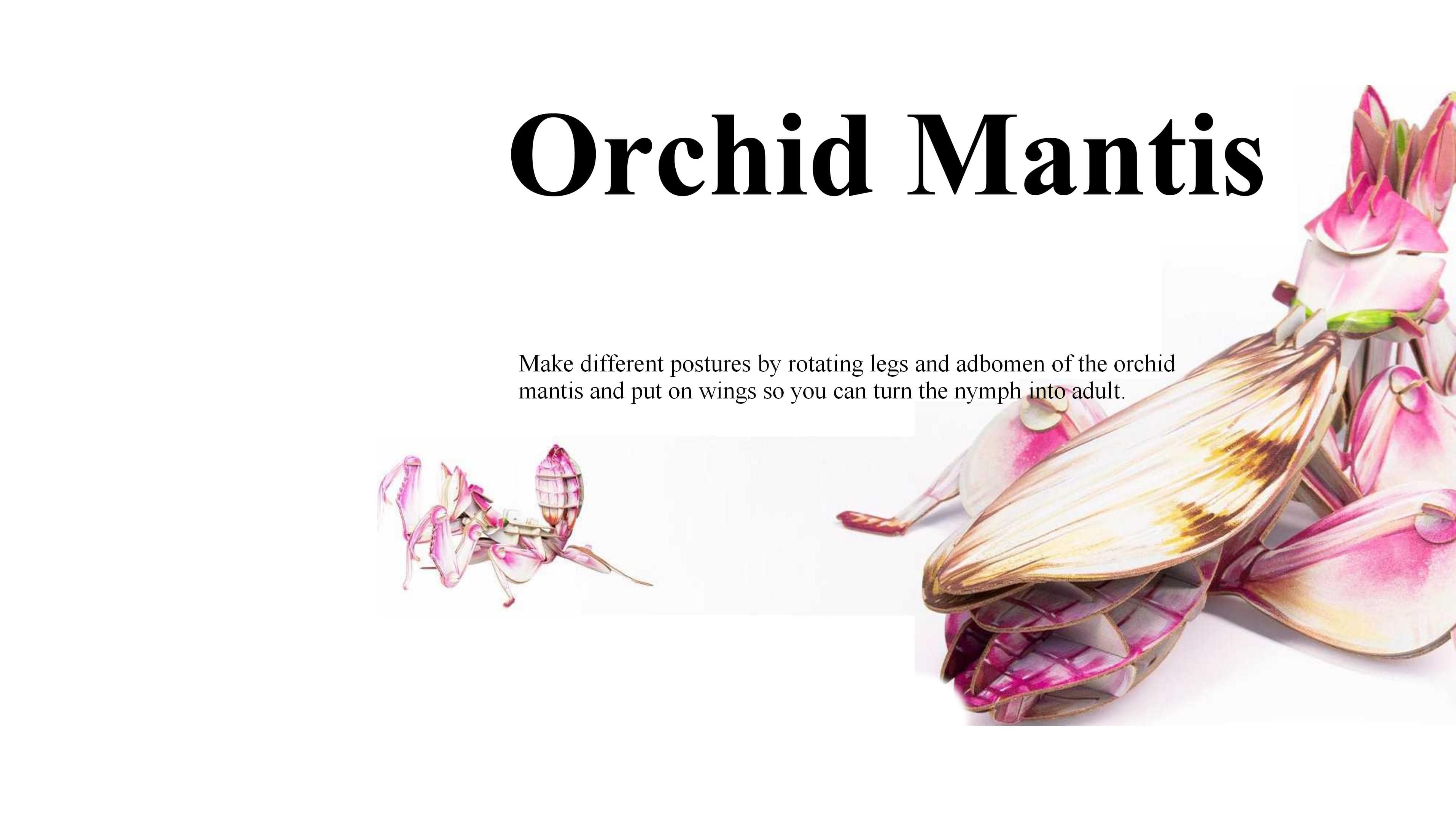 9 New Fashionable Insect Model Toys image 3