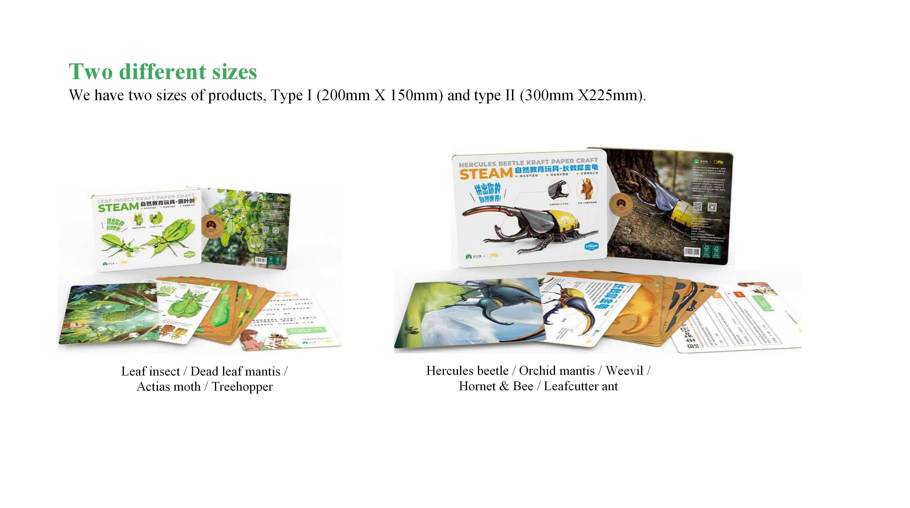 9 New Fashionable Insect Model Toys image 6
