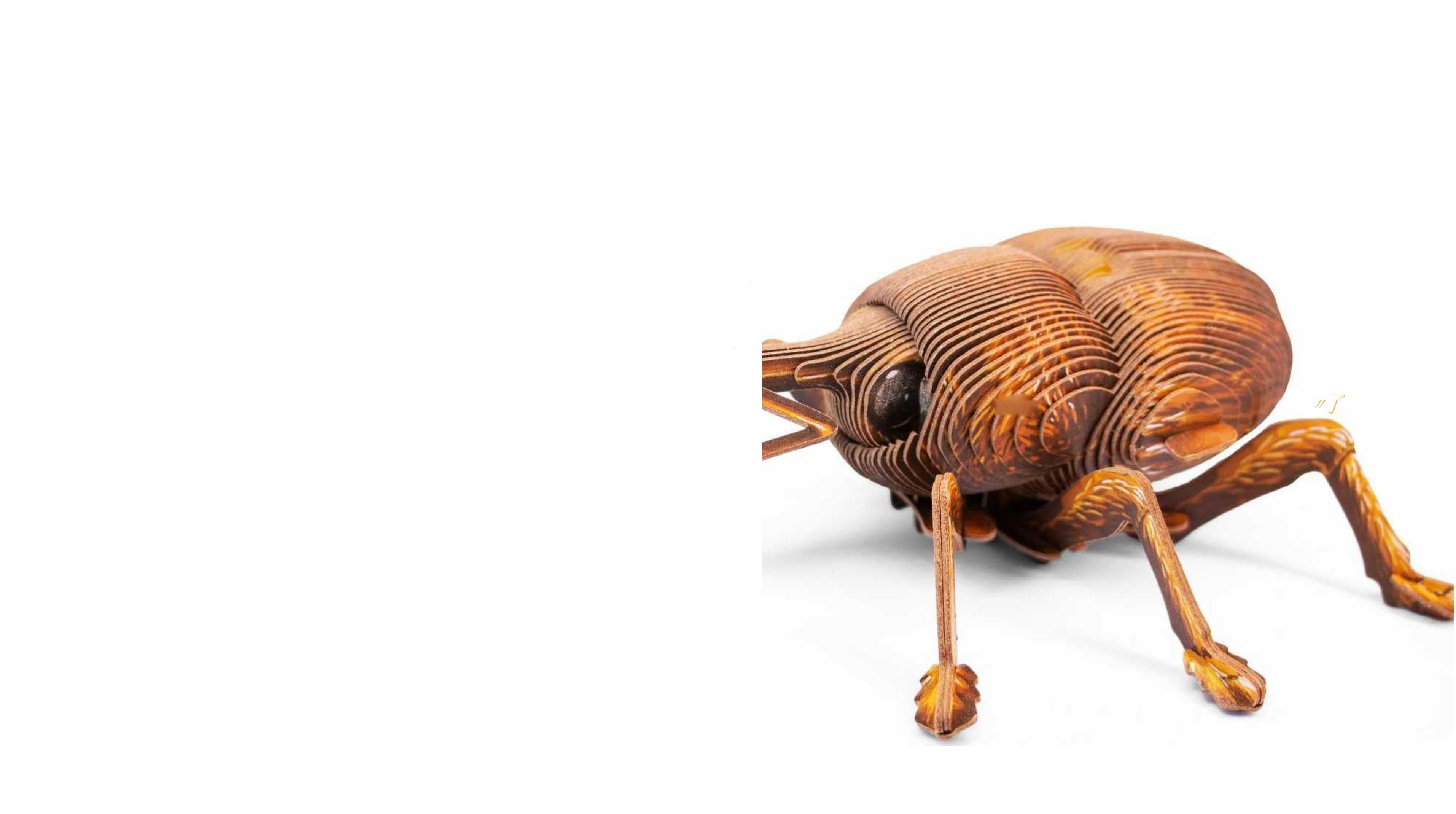 9 New Fashionable Insect Model Toys image 8