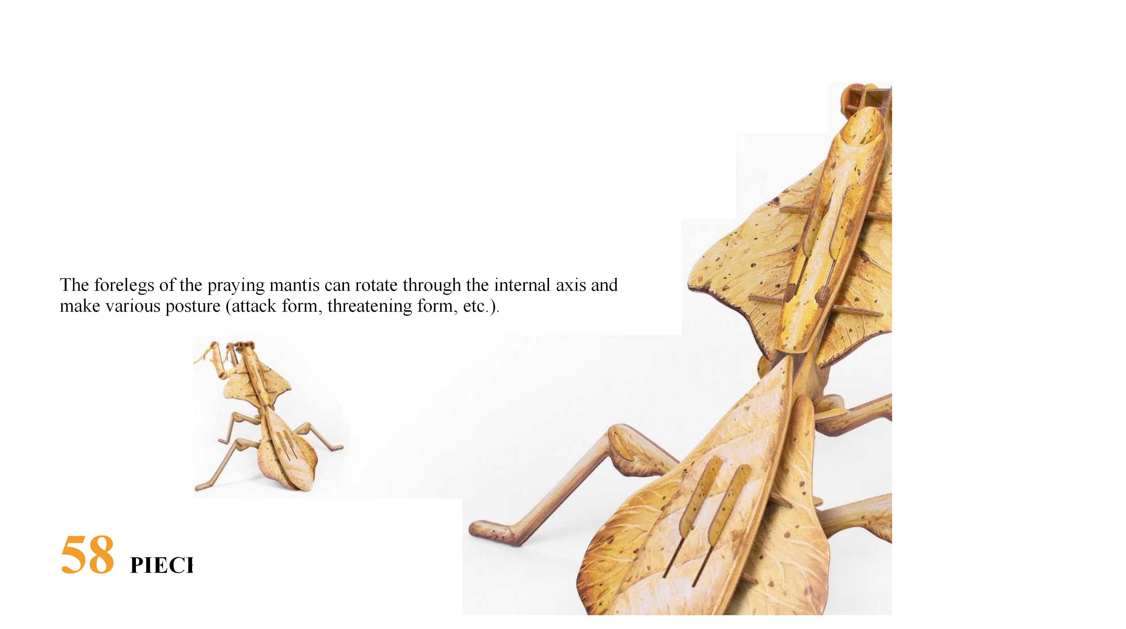 9 New Fashionable Insect Model Toys image 12