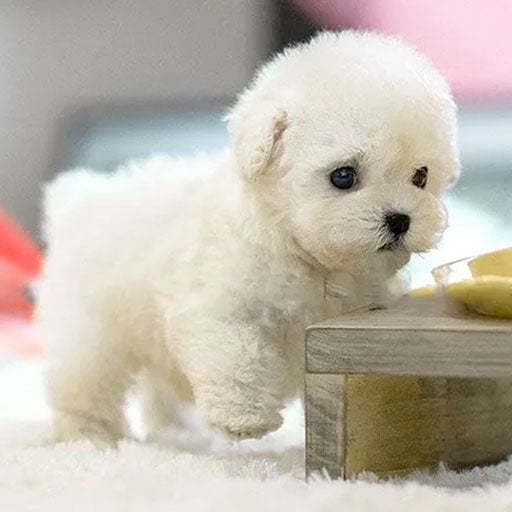 Robot Puppy Short Plush Doll image 2