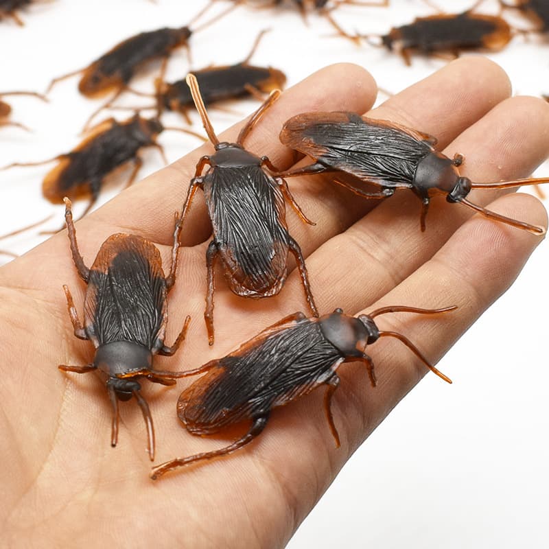 Halloween Simulation Cockroach Tidy Funny Disgusting Scary Toys image 5