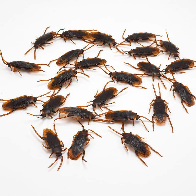 Halloween Simulation Cockroach Tidy Funny Disgusting Scary Toys image 3