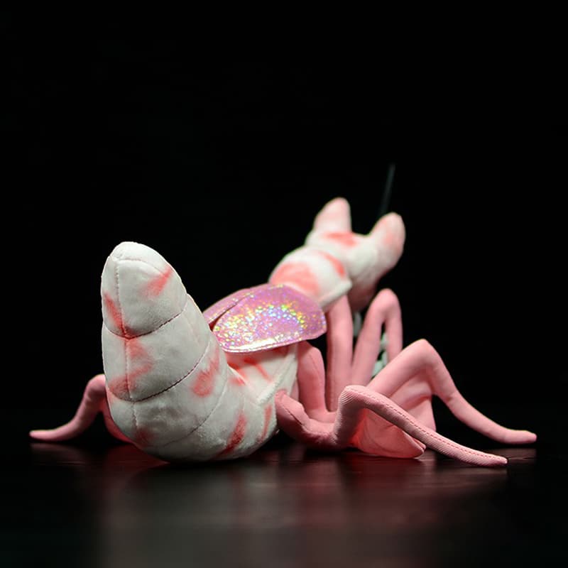 Lifelike Mantis Plush Toys Mantis Stuffed Animals Toy For Kids image 5