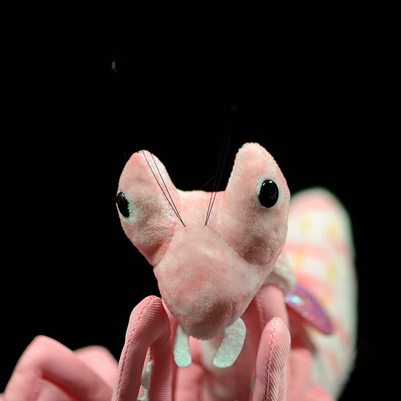Lifelike Mantis Plush Toys Mantis Stuffed Animals Toy For Kids image 2