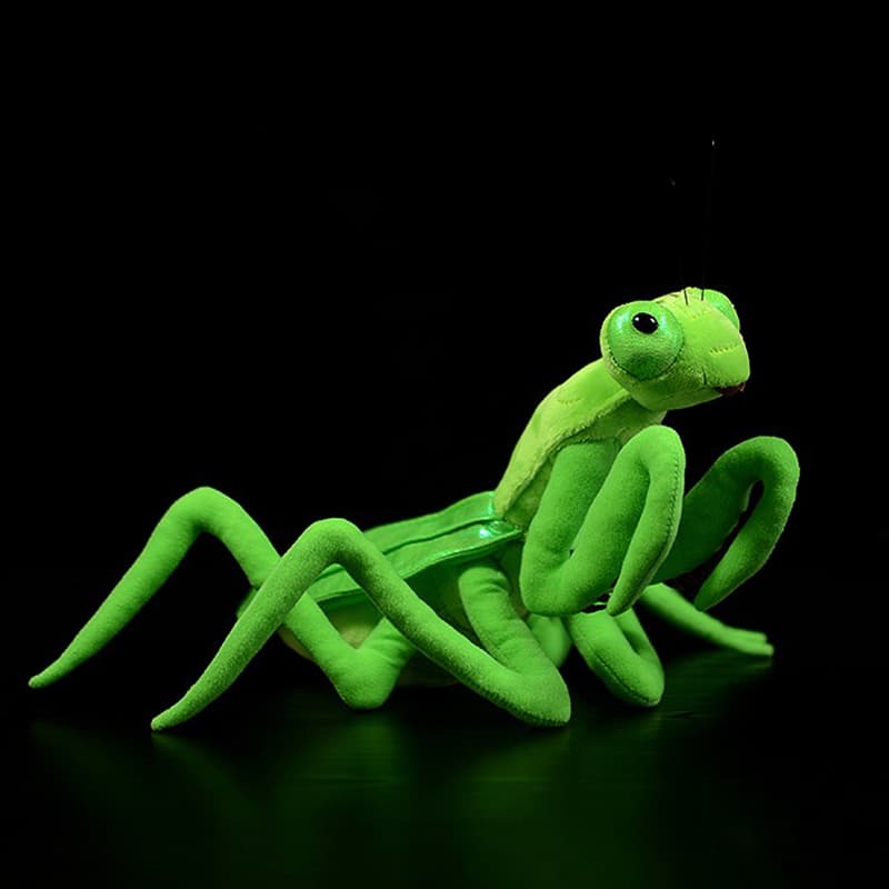 Lifelike Mantis Plush Toys Mantis Stuffed Animals Toy For Kids image 4