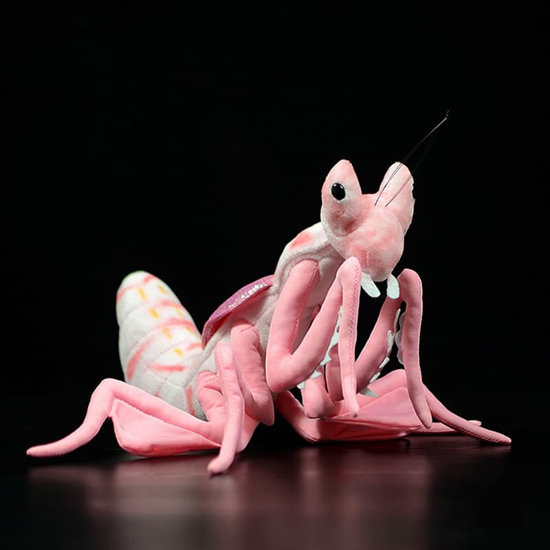 Lifelike Mantis Plush Toys Mantis Stuffed Animals Toy For Kids image 6