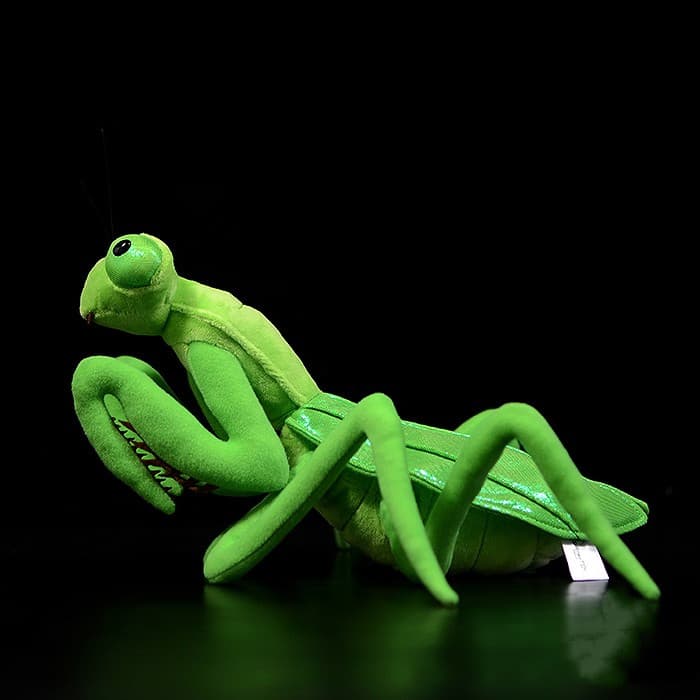 Lifelike Mantis Plush Toys Mantis Stuffed Animals Toy For Kids image 12