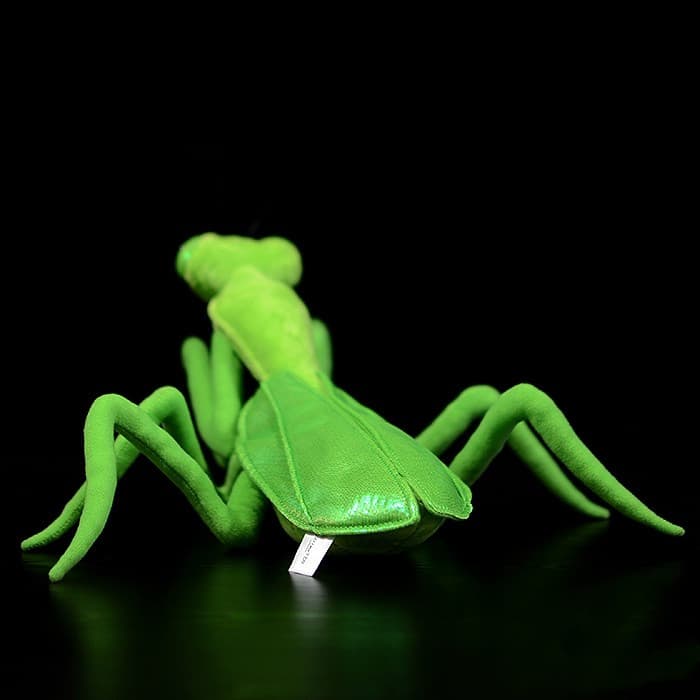 Lifelike Mantis Plush Toys Mantis Stuffed Animals Toy For Kids image 10