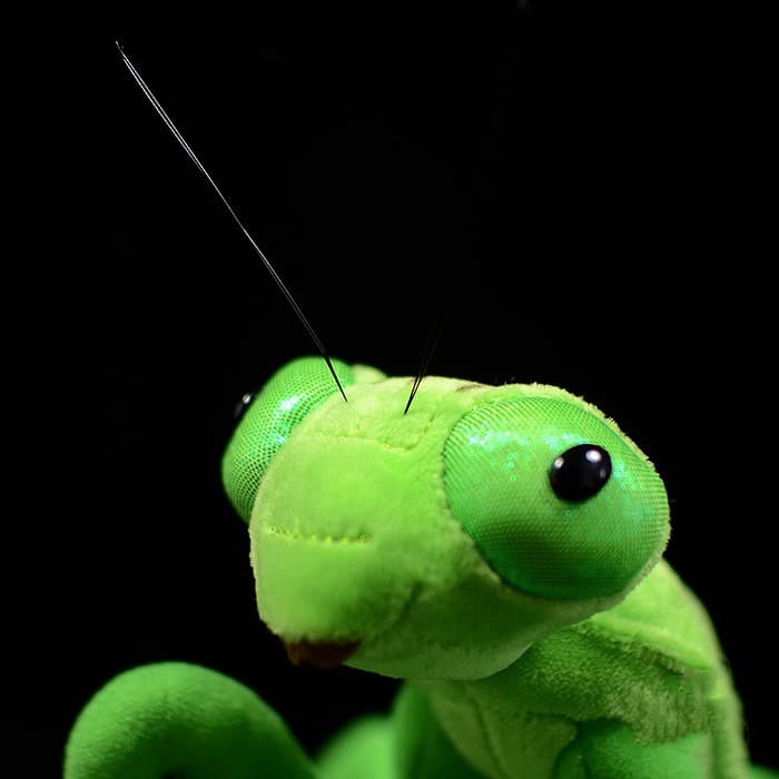 Lifelike Mantis Plush Toys Mantis Stuffed Animals Toy For Kids image 11