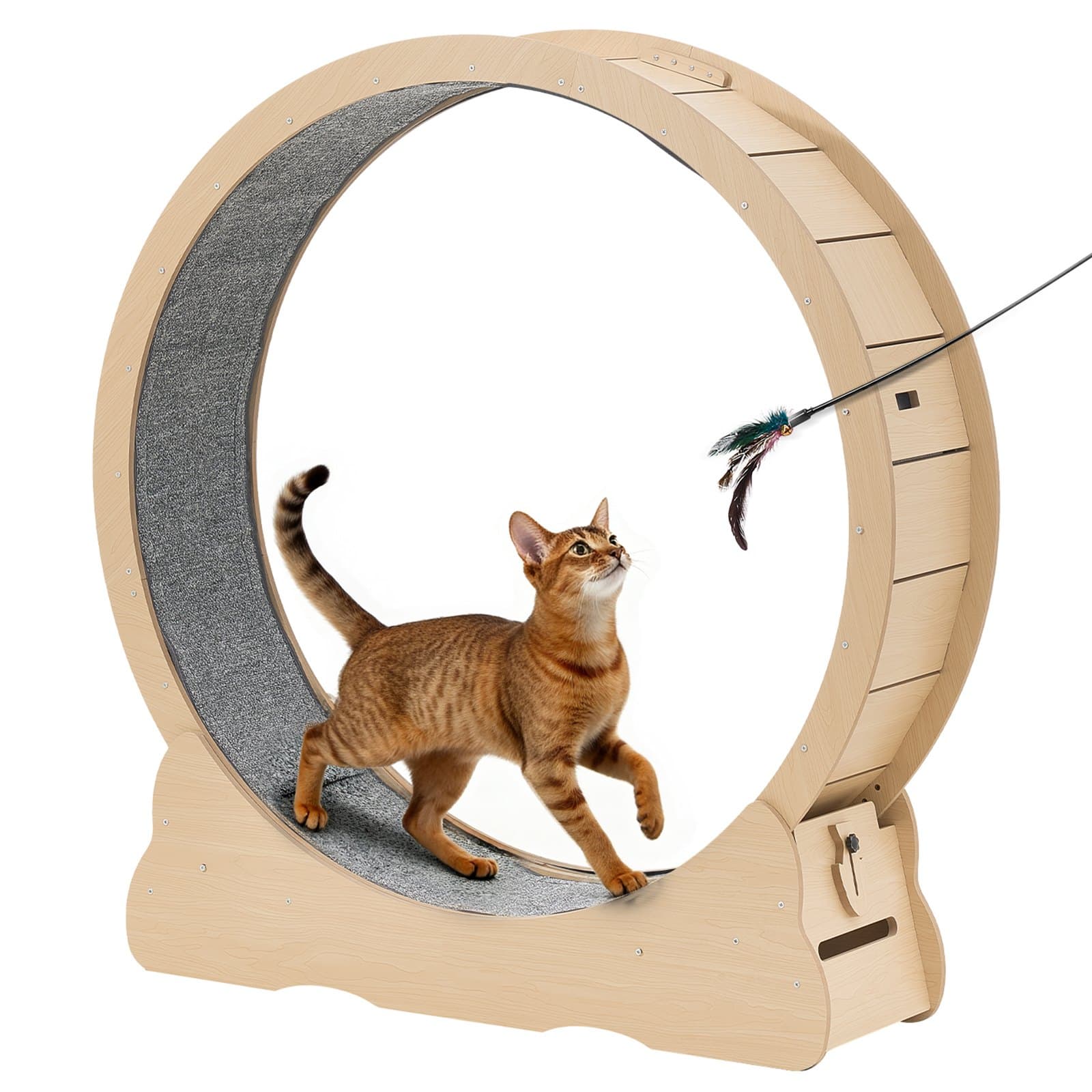 Cat Exercise Wheel, 48 In Wooden Cat image 1