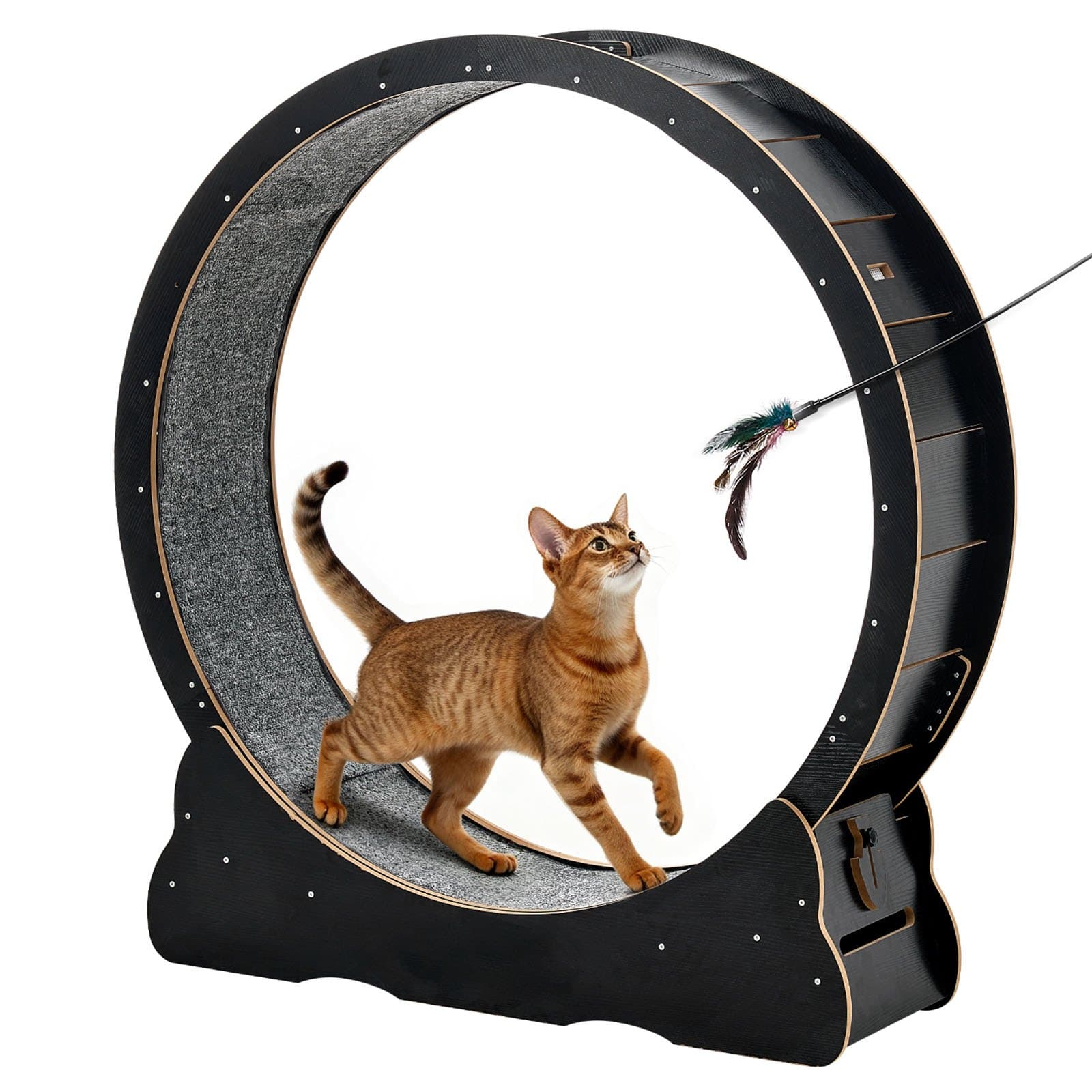 Cat Exercise Wheel, 48 In Wooden Cat image 1